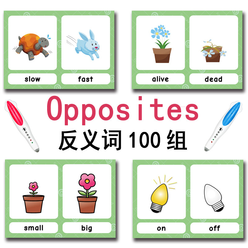 The 100 Groups Opposites Flash - Kids Education In Us avaliação e preço