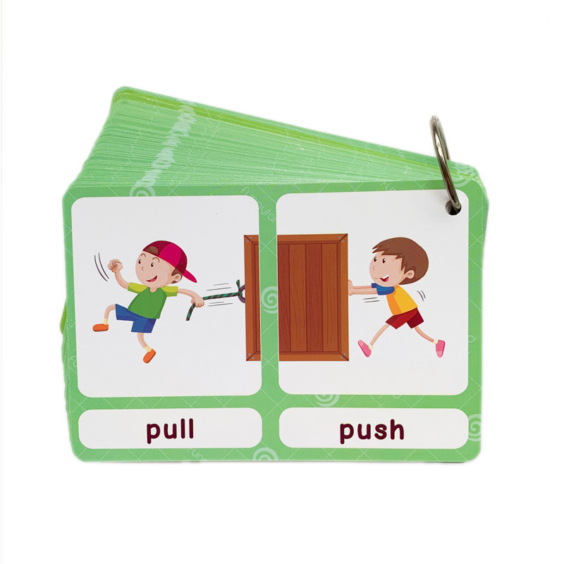 The 100 Groups Opposites Flash - Kids Education In Us avaliação e preço